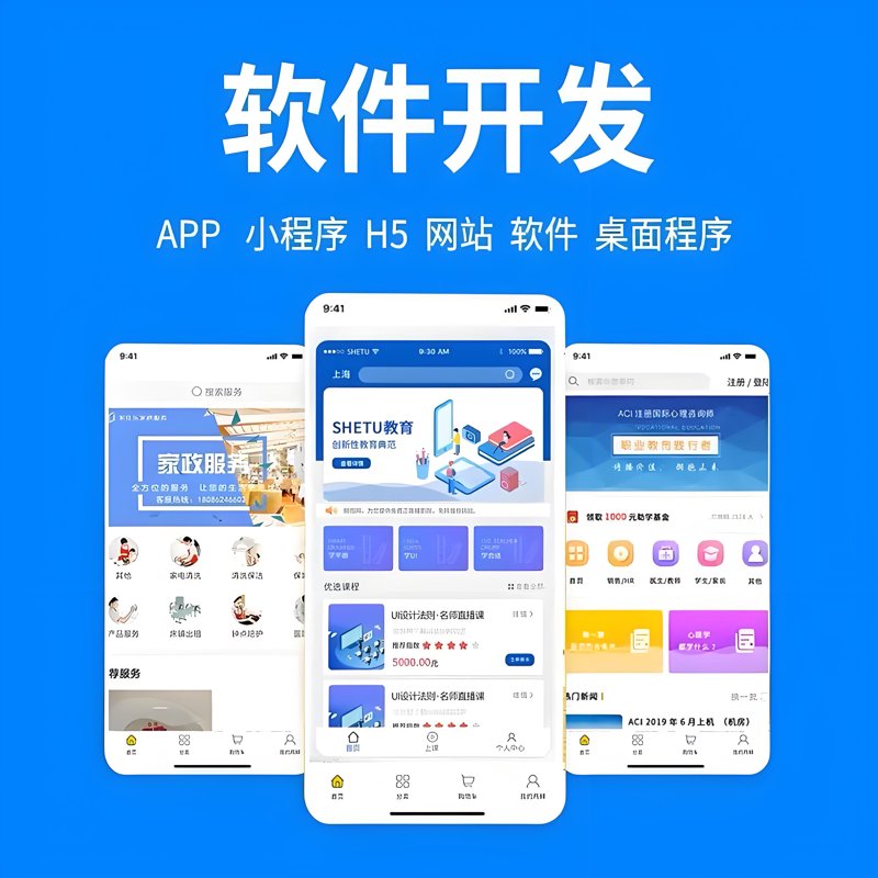 上海软件开发:引领数字化转型的新引擎