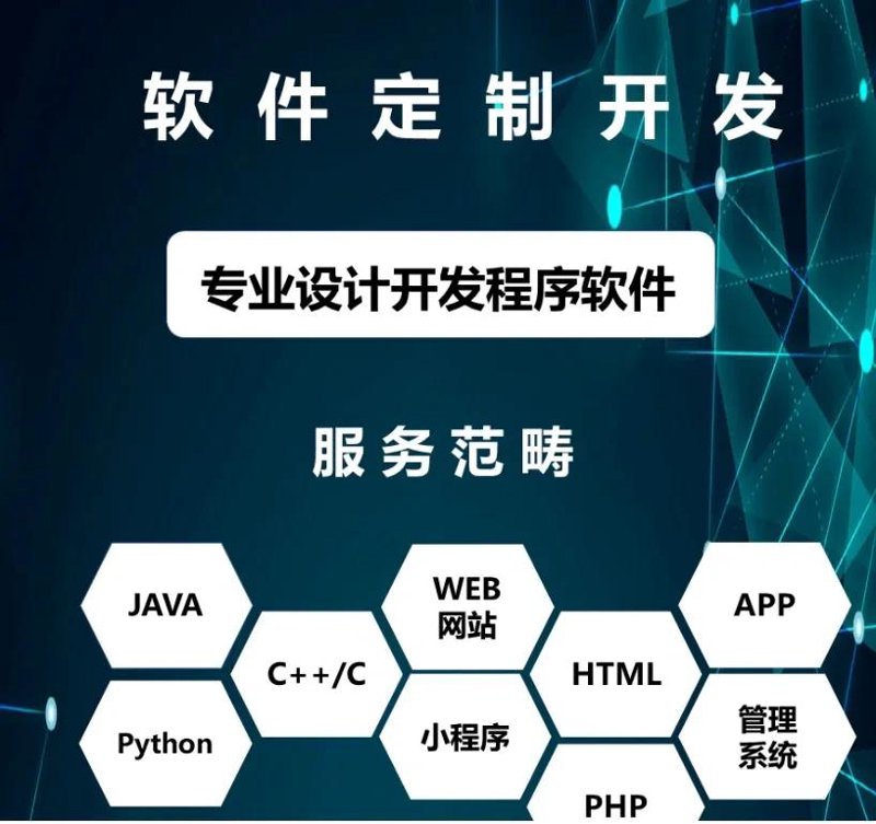 软件定制开发:解锁企业数字化转型的钥匙